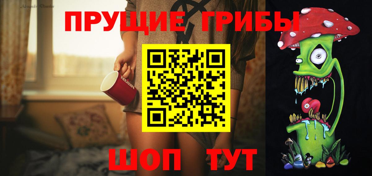 Псилоцибиновые грибы GOLDEN TEACHER  купить закладку  Александров  Вход с VPN  Псилоцибиновые грибы Psilocybe 