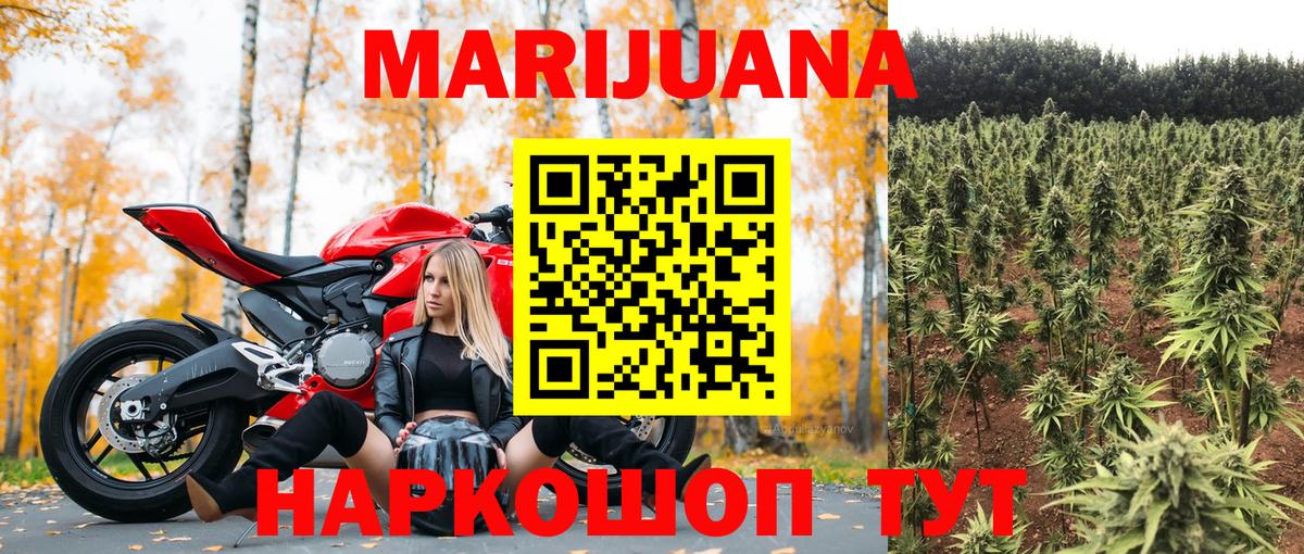 Бошки марихуана марихуана Александров